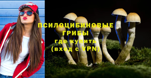 МДПВ Протвино