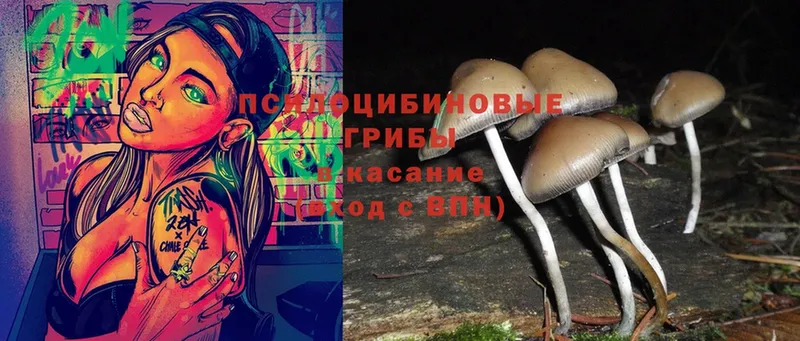 Галлюциногенные грибы Magic Shrooms  Благовещенск 