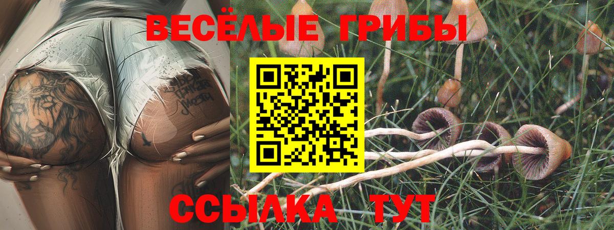 Галлюциногенные грибы прущие грибы Благовещенск