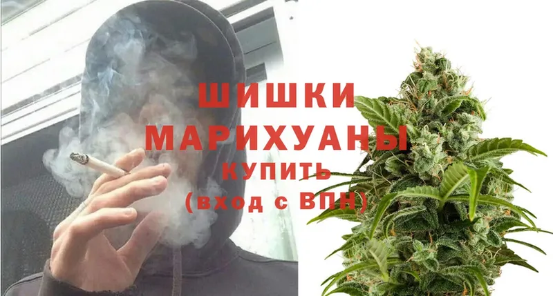 дарнет шоп  Благовещенск  Шишки марихуана OG Kush 